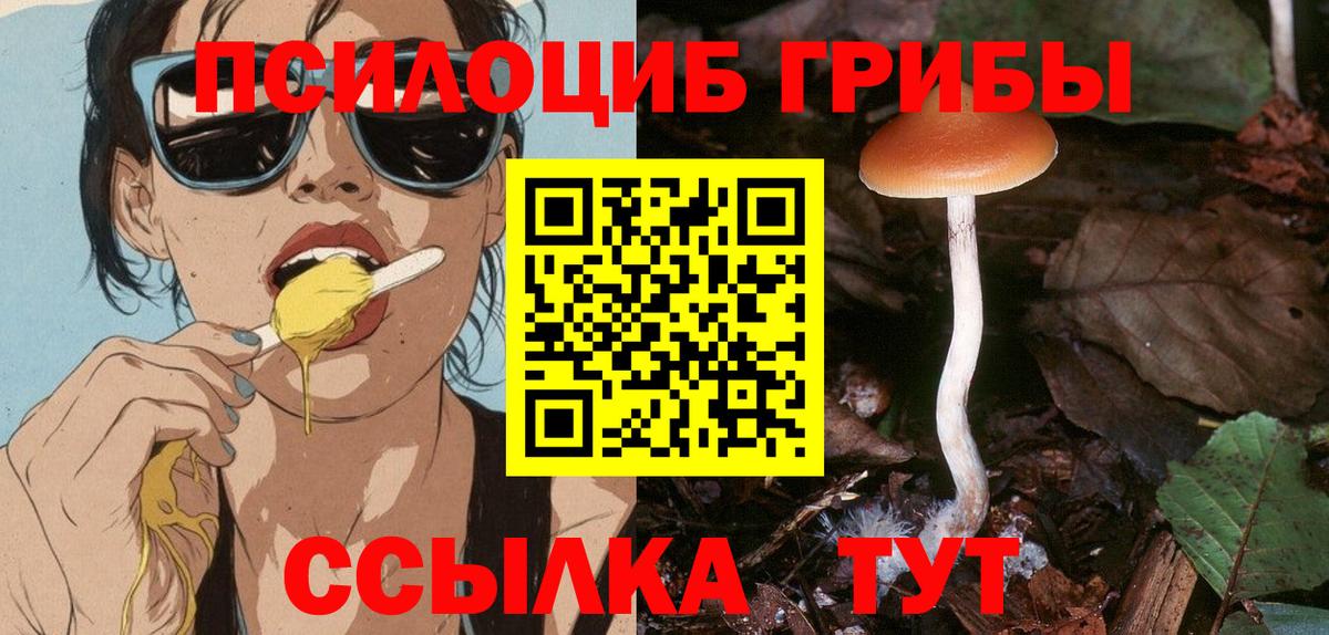 Галлюциногенные грибы Cubensis Кировск