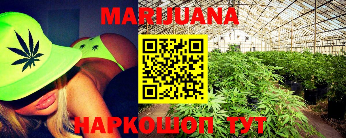 Конопля Ganja  Конопля ГИДРОПОН  Вход с VPN  Канабис Bruce Banner  Кировск 